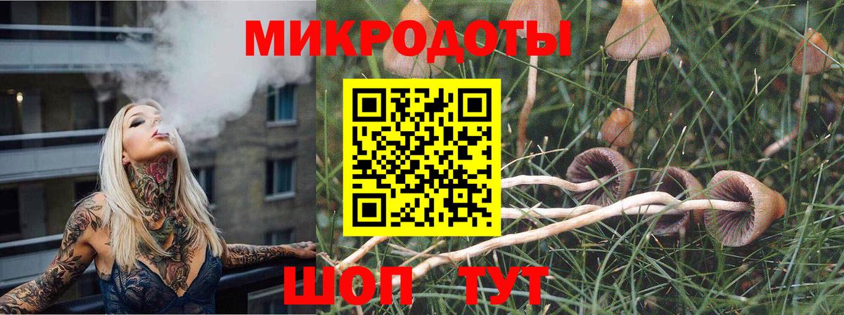 Галлюциногенные грибы Cubensis  Вход с VPN  Благодарный  Псилоцибиновые грибы мицелий 